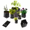 poly seedling nursery heavy duty 5 gallon black grow bags for greenhouse planter