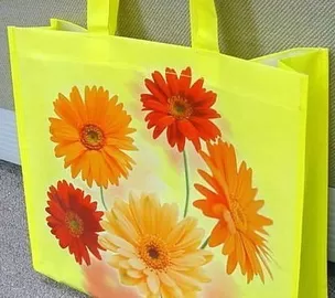 Non Woven Shopping Bag