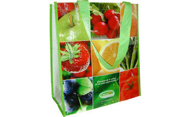 PP Woven Shopping Bag