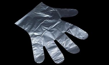 Clear Disposable Poly PE Gloves  Food Service Safety Glove  Powder Free