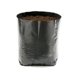 5gallon  7gallon hydroponics tomatoes plant  pot   garden planter bags plastic black grow bags