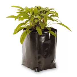 farming agriculture gardening black poly planter nursery pots vegetables plastic grow bags