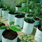LDPE plastic greenhouse white black planter grow bags with pre-punched drainage holes