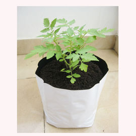 LDPE plastic greenhouse white black planter grow bags with pre-punched drainage holes