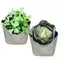 3gal 5gal 4mil  UV resistant  gardening horticultural seedling nursery white poly grow bags